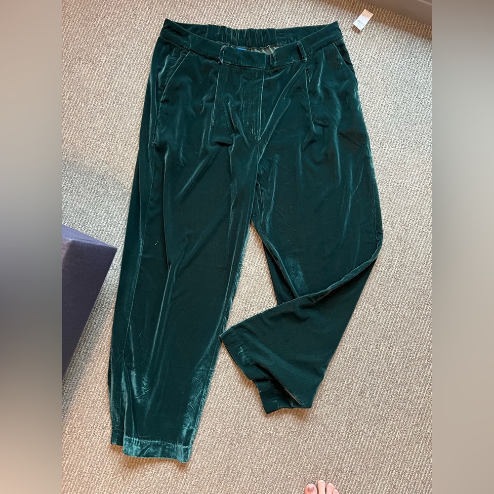 NWT velvet Emerald Old Navy Pants